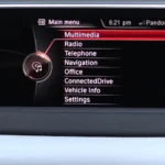 BMW Radio Not Working