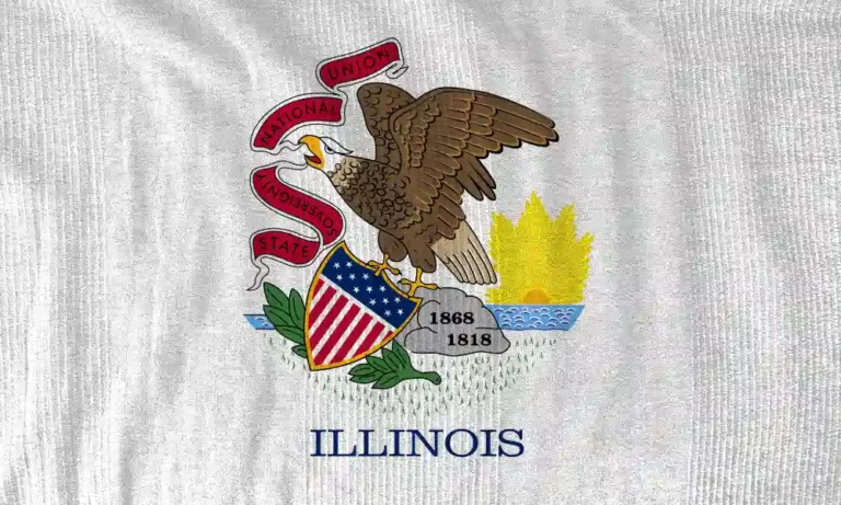 Where Can You Buy Illinois License Plate Stickers