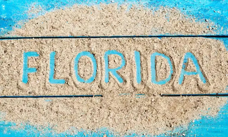 Florida Vehicle Registration Requirements