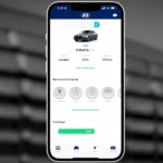 Is Hyundai Blue Link Worth It