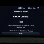 Kia Connect Not Working