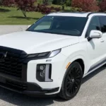 What Gas Does the Hyundai Palisade Use