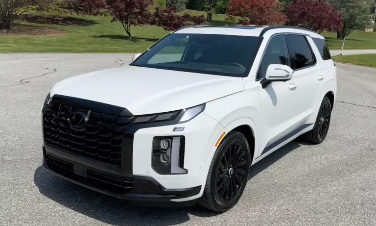 What Gas Does the Hyundai Palisade Use