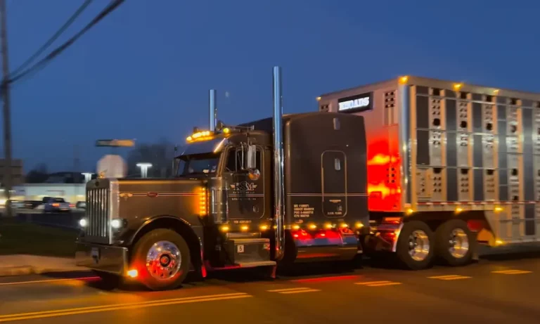 Finding and Replacing Peterbilt 379 Brake Light Switch