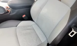 Toyota SofTex Problems