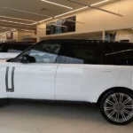SUVs With the Most Legroom in the 2nd Row (2025–2026 Buyer's Guide)
