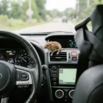 How to Keep Mice Out of Your Car