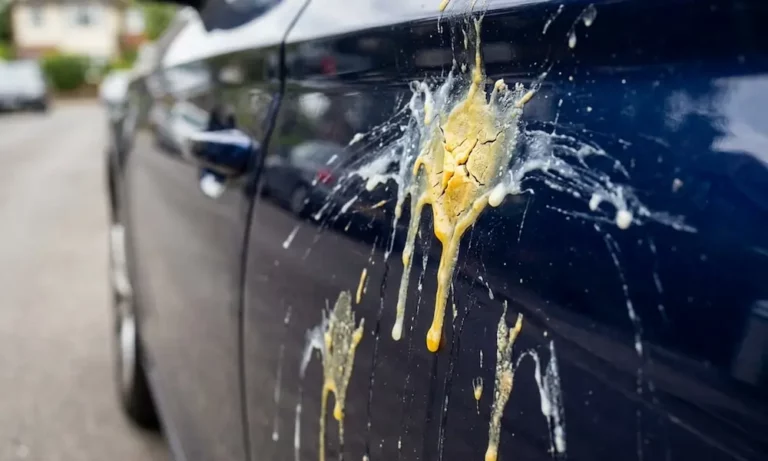 How to Remove Egg from Car Paint