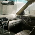 How to Rid Spiders From Your Car