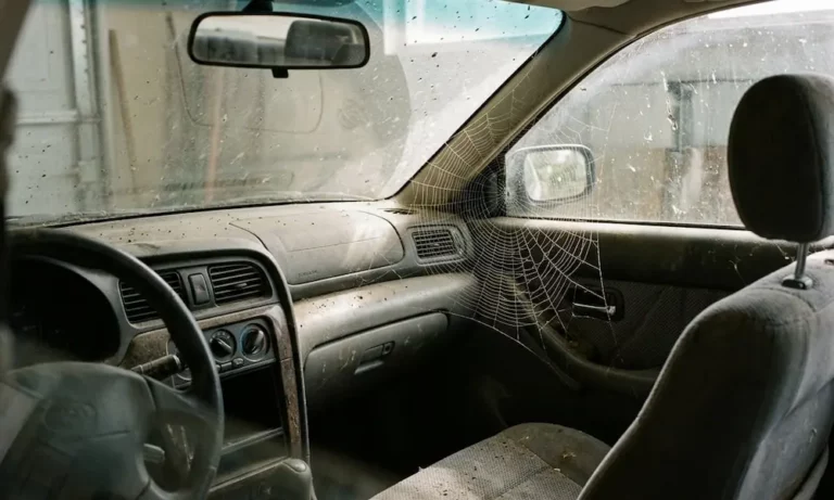 How to Rid Spiders From Your Car