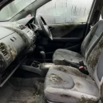 How to Get Mold Out of Car