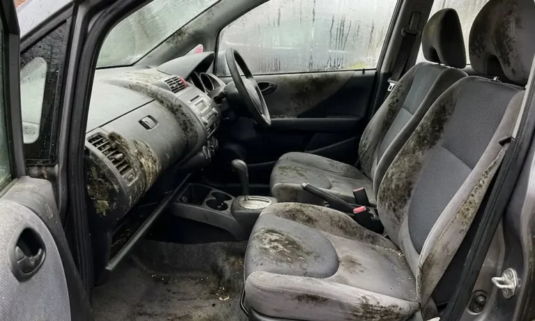 How to Get Mold Out of Car