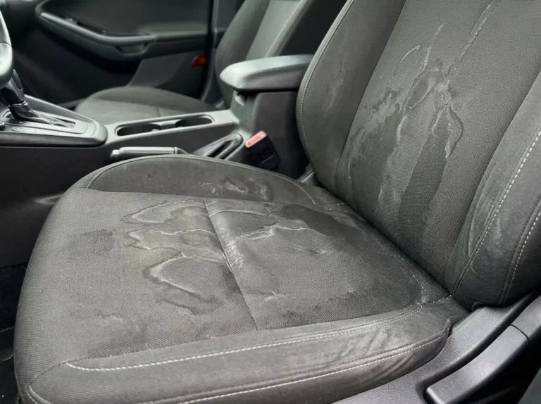 How to Remove Water Stains from Car Seats